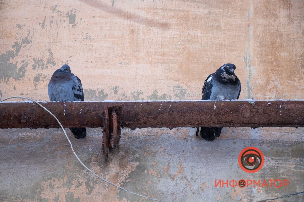 По факту его нет уже больше недели По факту его нет уже больше недели