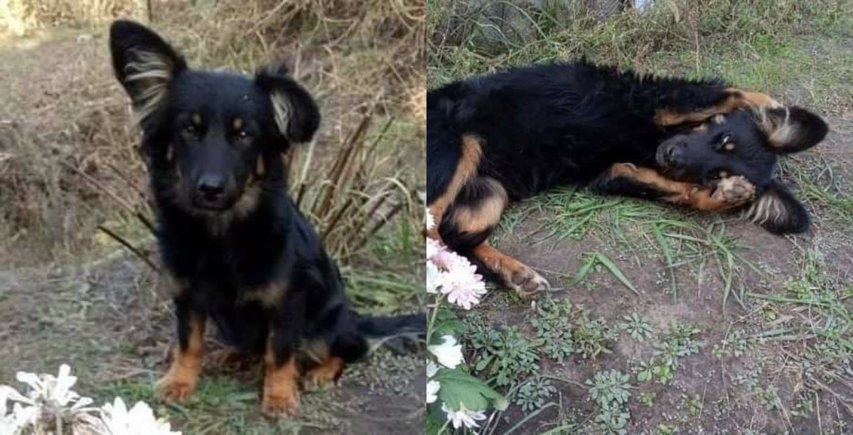 Несмотря на свой юный возраст, девочка быстро учится Несмотря на свой юный возраст, девочка быстро учится