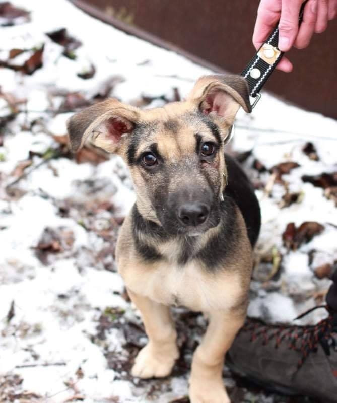 Как это чудо можно было оставить на улице? Как это чудо можно было оставить на улице?