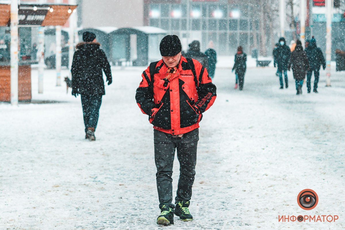 Если холод собачий, то жара - кошачья?