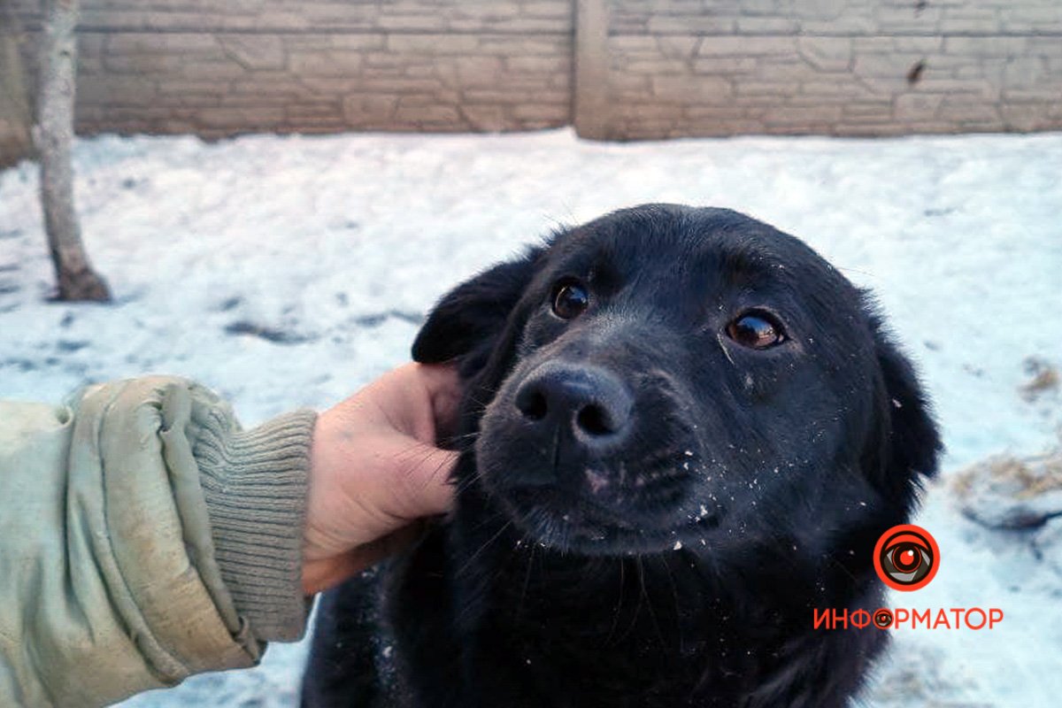 Вы только всмотритесь в эти глаза Вы только всмотритесь в эти глаза