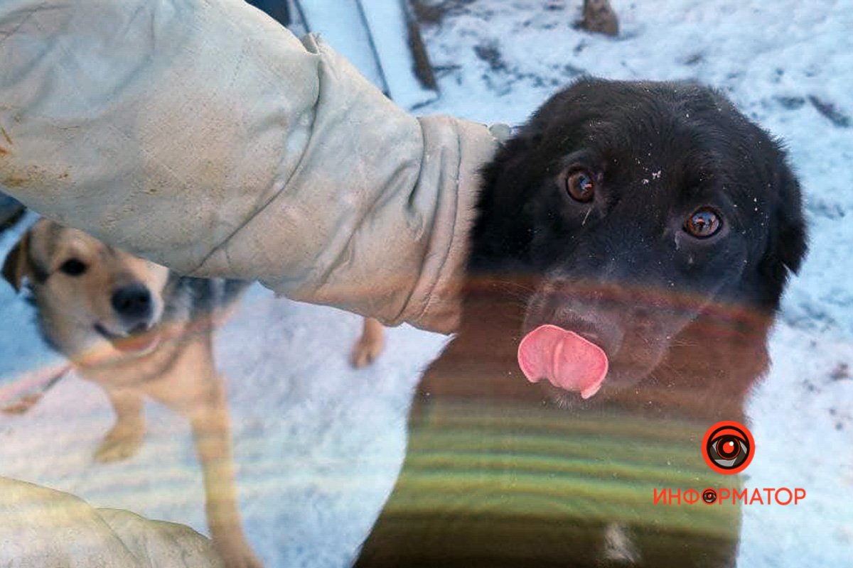 Чернее ночи Чернее ночи