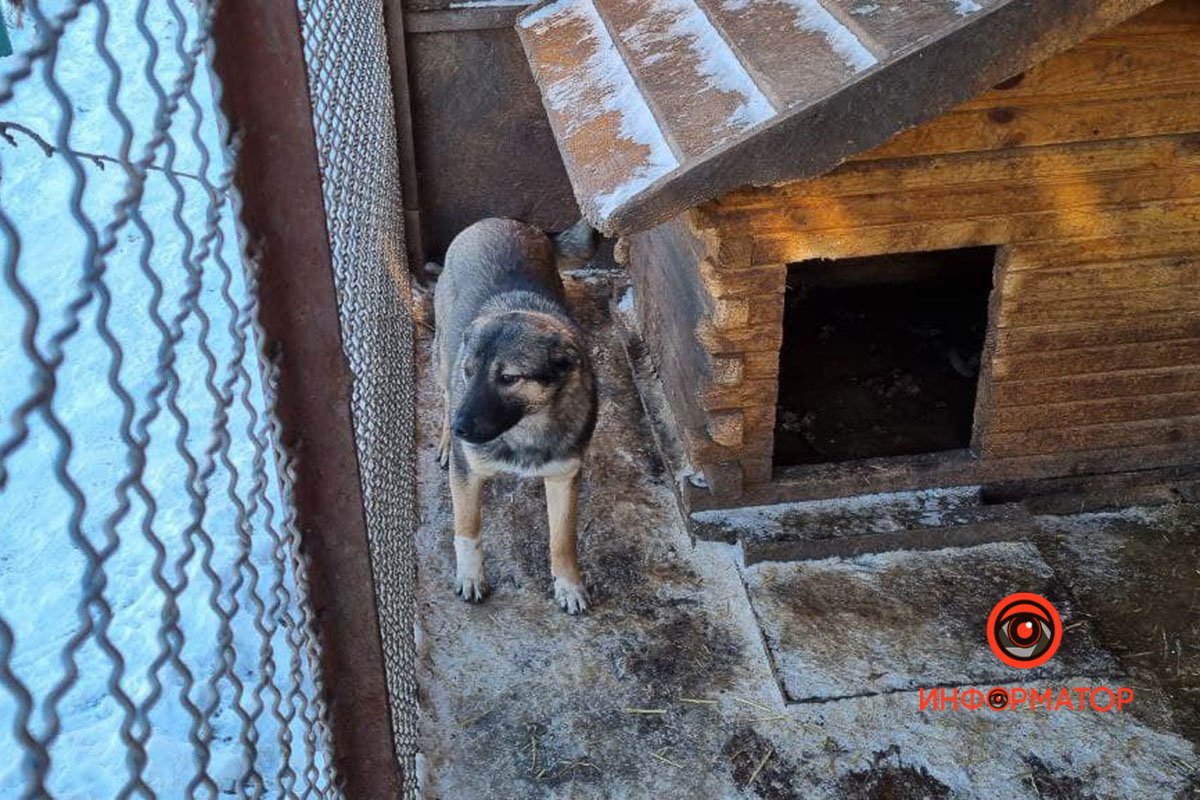 Охранник Охранник