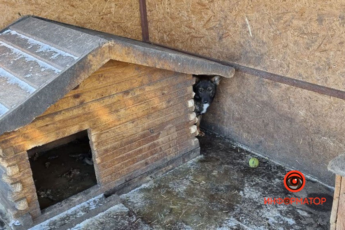 За будкой надежнее За будкой надежнее