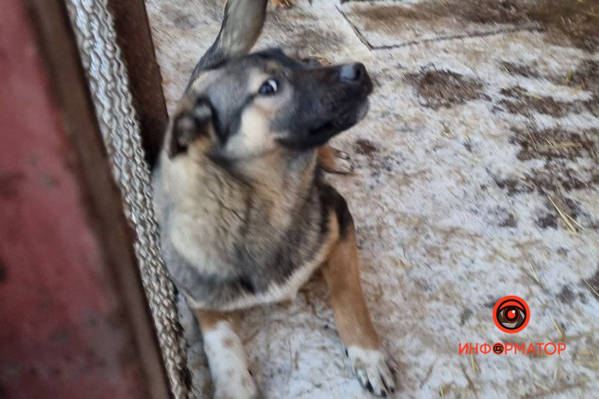 А теперь в фокусе? А теперь в фокусе?