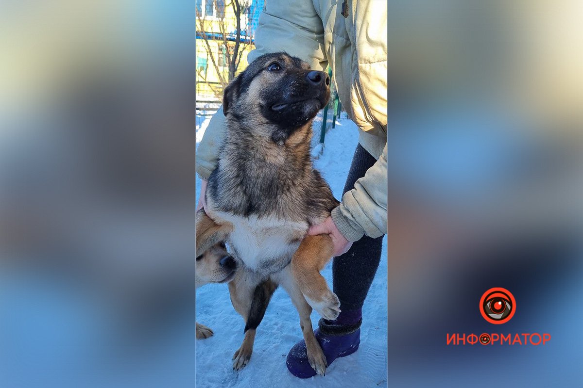 Какой красавец Какой красавец