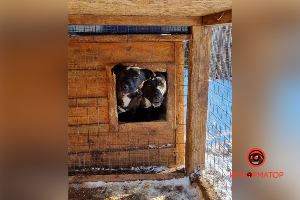 Есть че? Есть че?