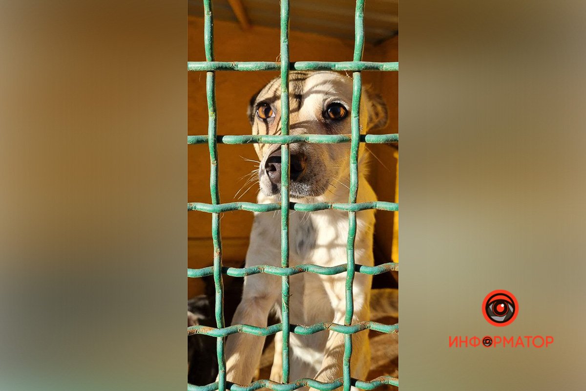 Забери меня Забери меня