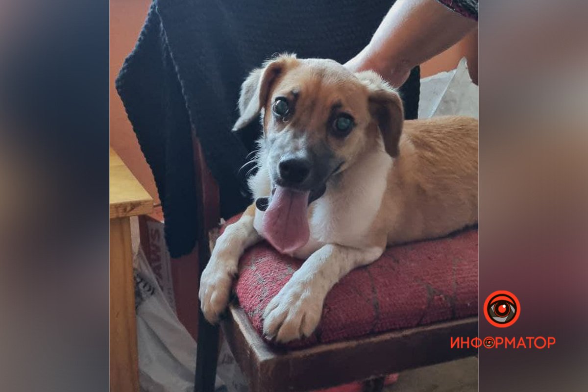 Милаха Милаха