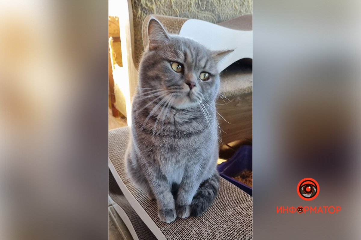 Взгрустнулось Взгрустнулось