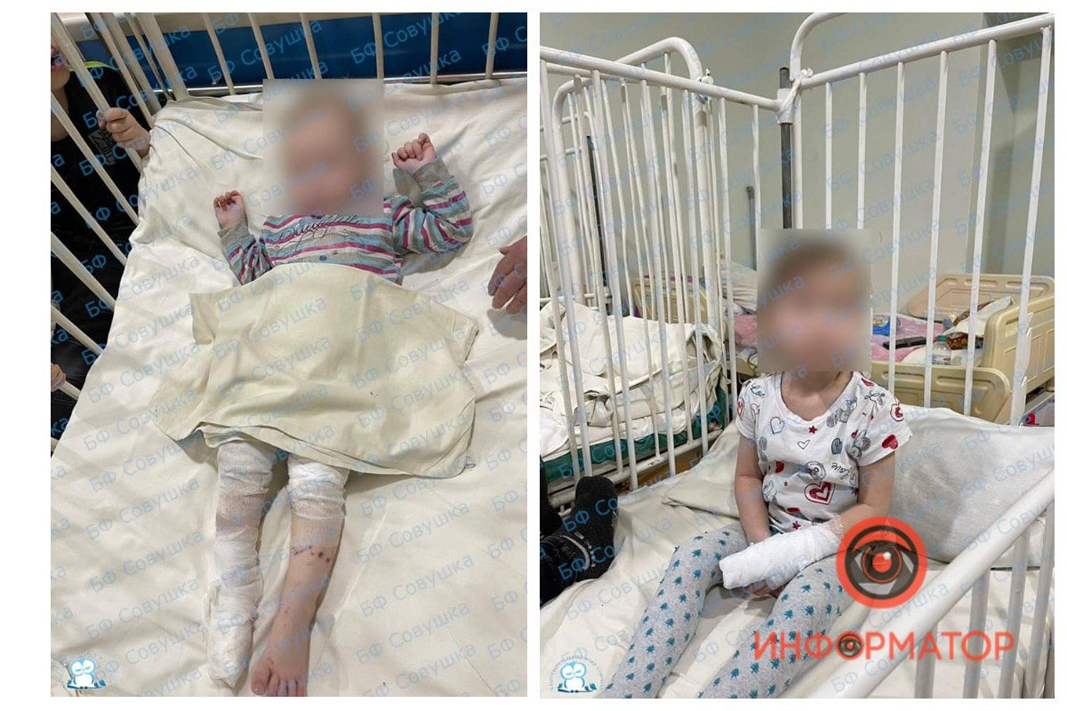 Их старшая сестричка тоже находится в больнице Их старшая сестричка тоже находится в больнице