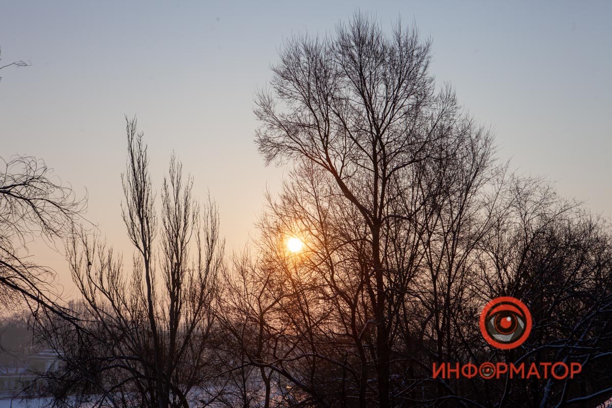 Есть что-то загадочное в черных силуэтах деревьев