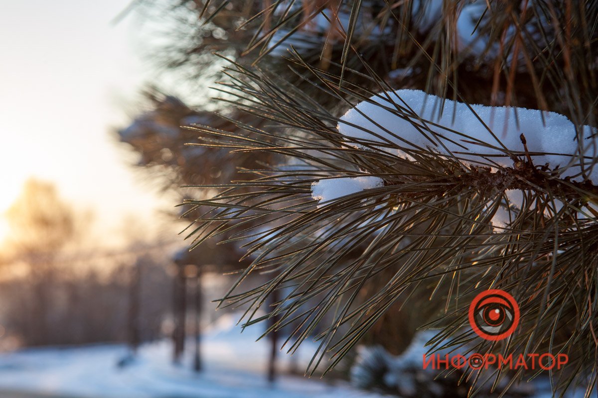 Лучшее елочное украшение