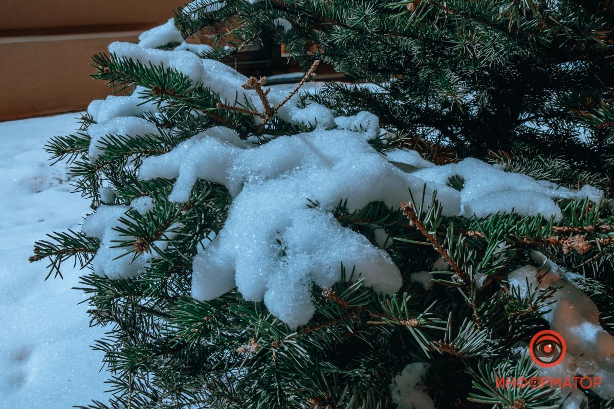 Напоминает о новогодних праздниках