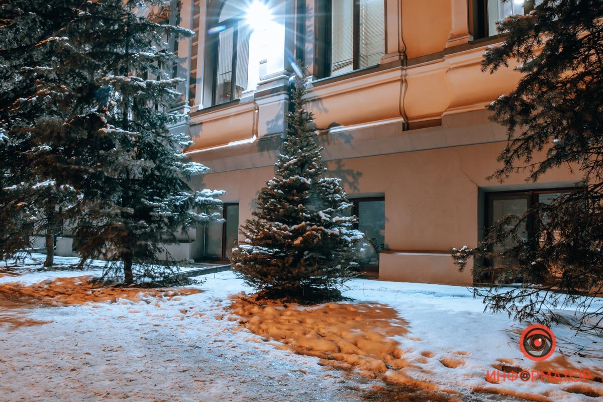 Маленькой елочке холодно зимой