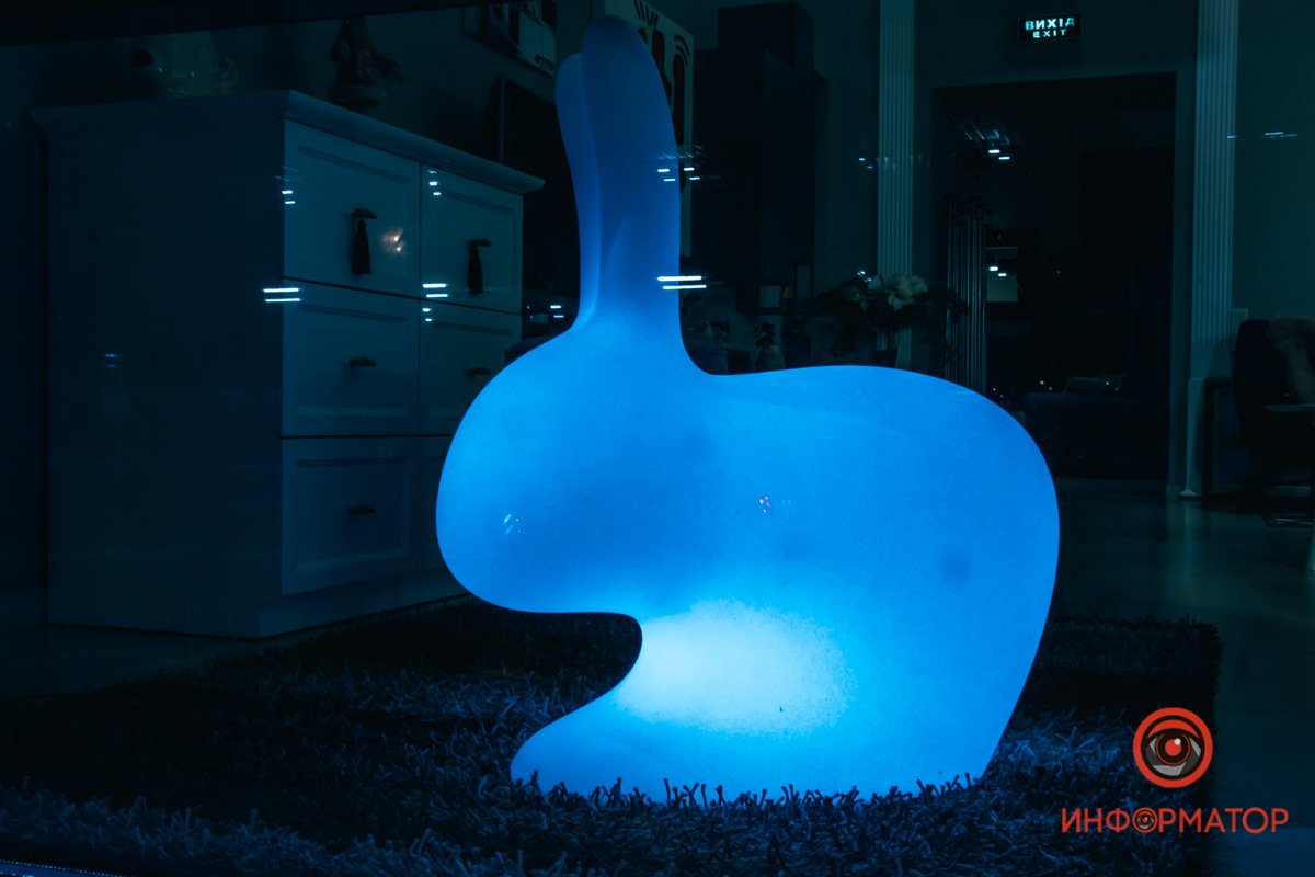 Зайчик, видимо, замерз