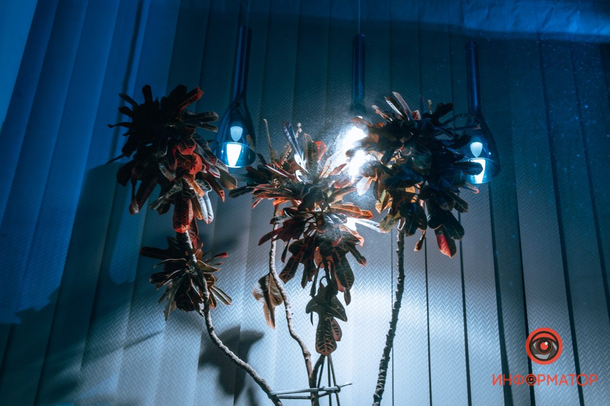 Зеленый уголок в феврале