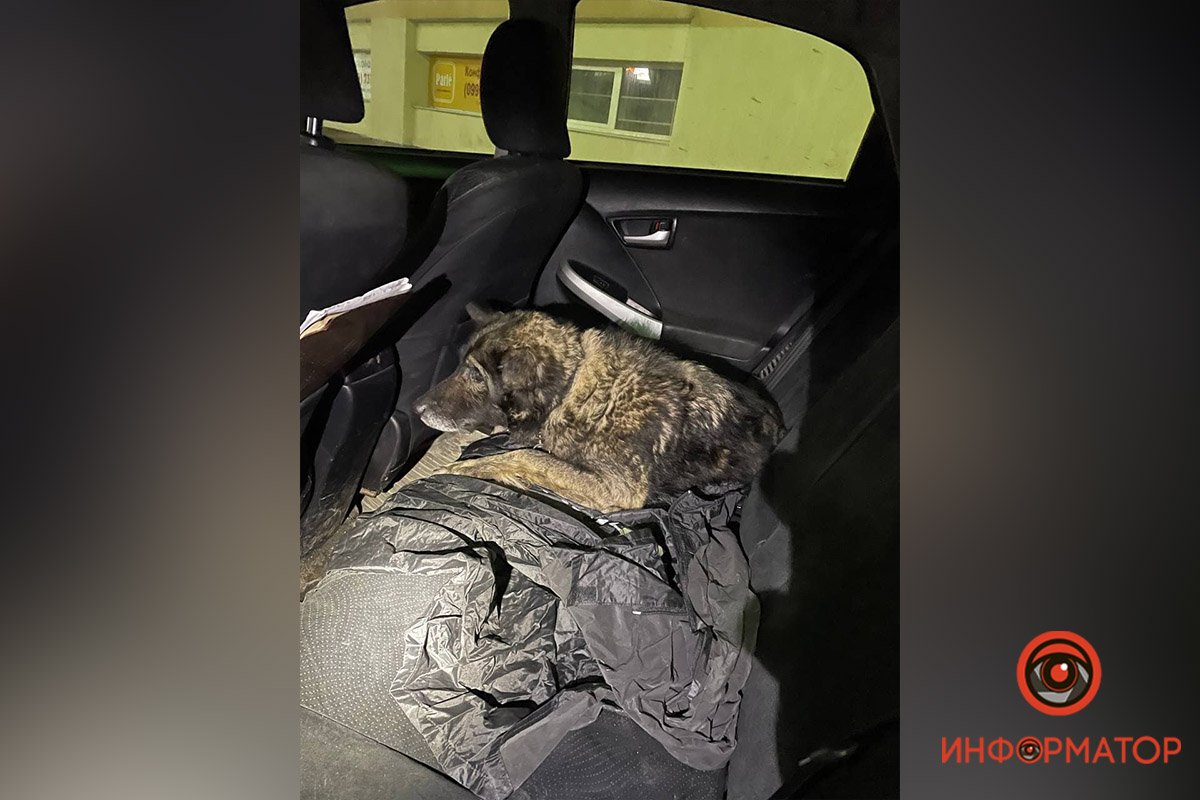 Его повезли в клинику