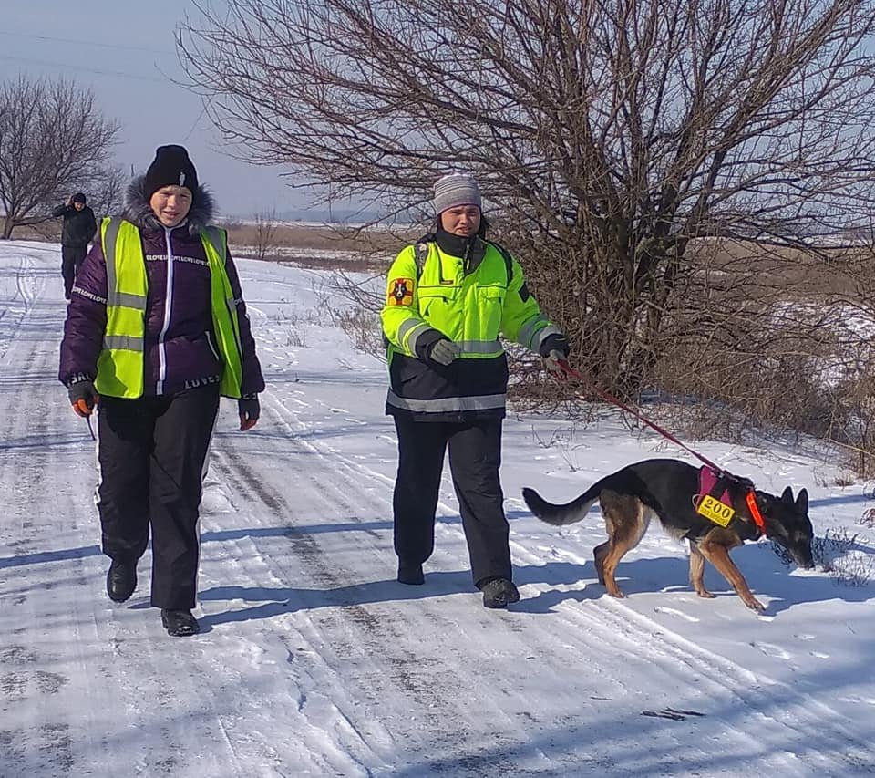 Если вы хотите помочь и готовы присоединиться к поискам - выше указаны контактные номера