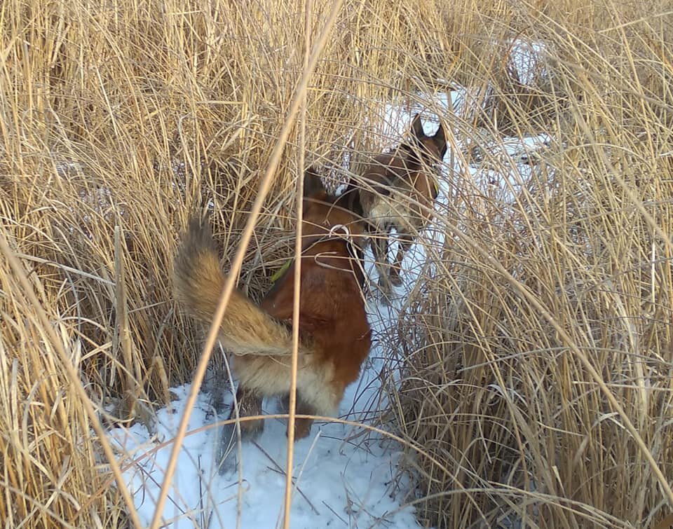 Женщина пожилого возраста, поэтому может иметь проблемы с памятью