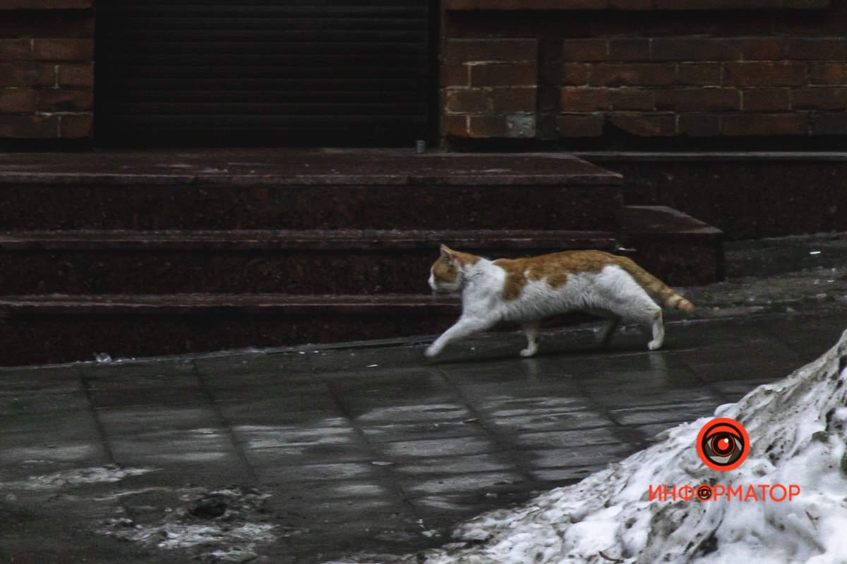 Сам себе хозяин Сам себе хозяин