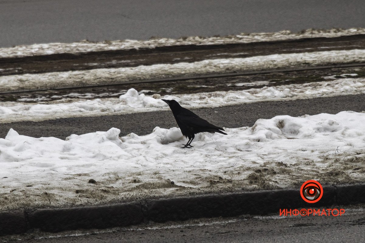Если бы понедельник был живым существом Если бы понедельник был живым существом
