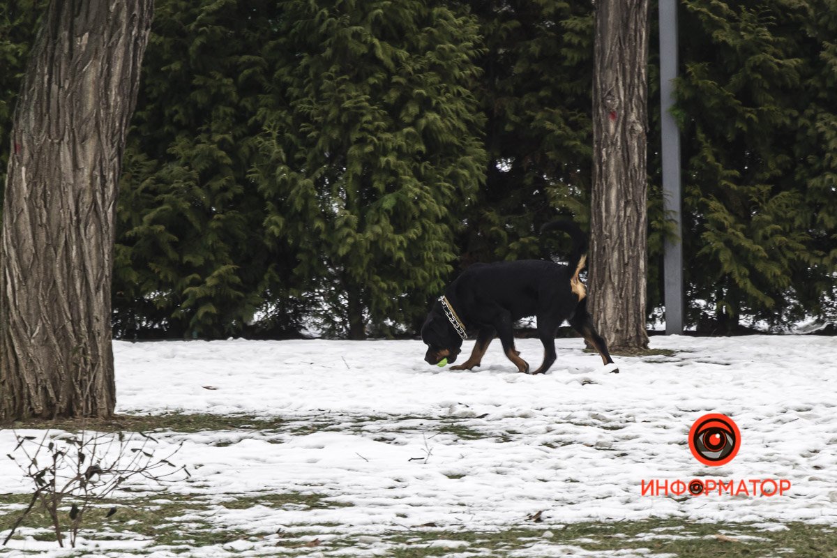 Прогулка по расписанию Прогулка по расписанию