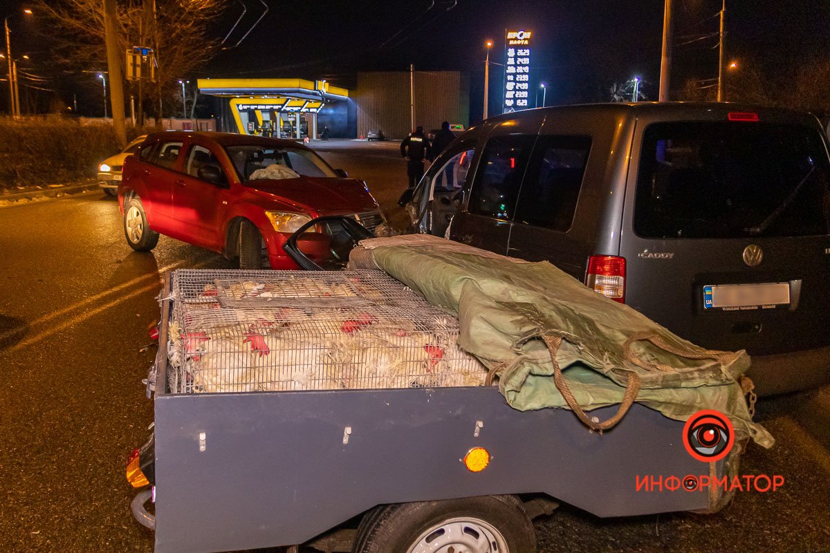 В прицепе Volkswagen находились куры В прицепе Volkswagen находились куры