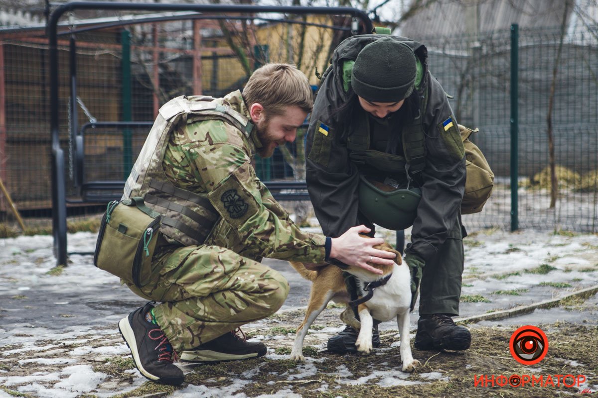 Военные, полицейские и спасатели снялись в фотосессии с бездомными животными в Днепре: классные фото 4