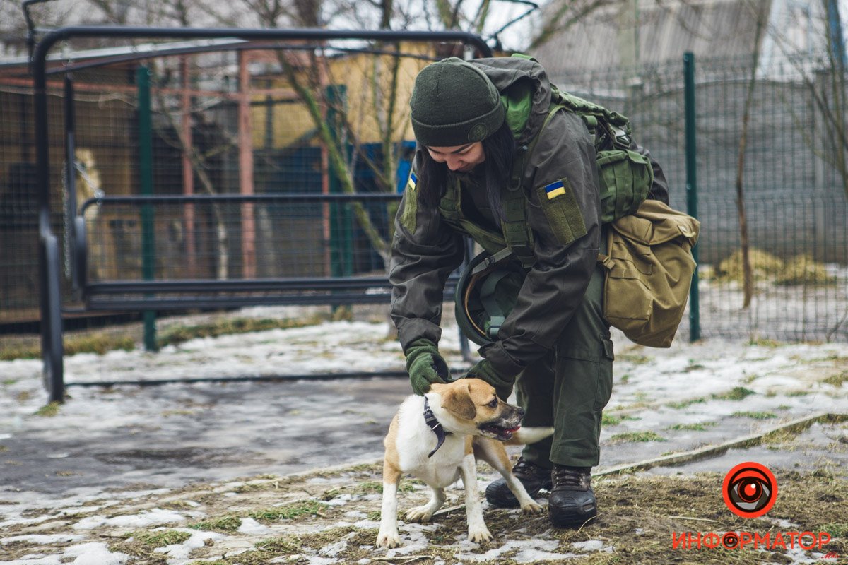 Военные, полицейские и спасатели снялись в фотосессии с бездомными животными в Днепре: классные фото 6