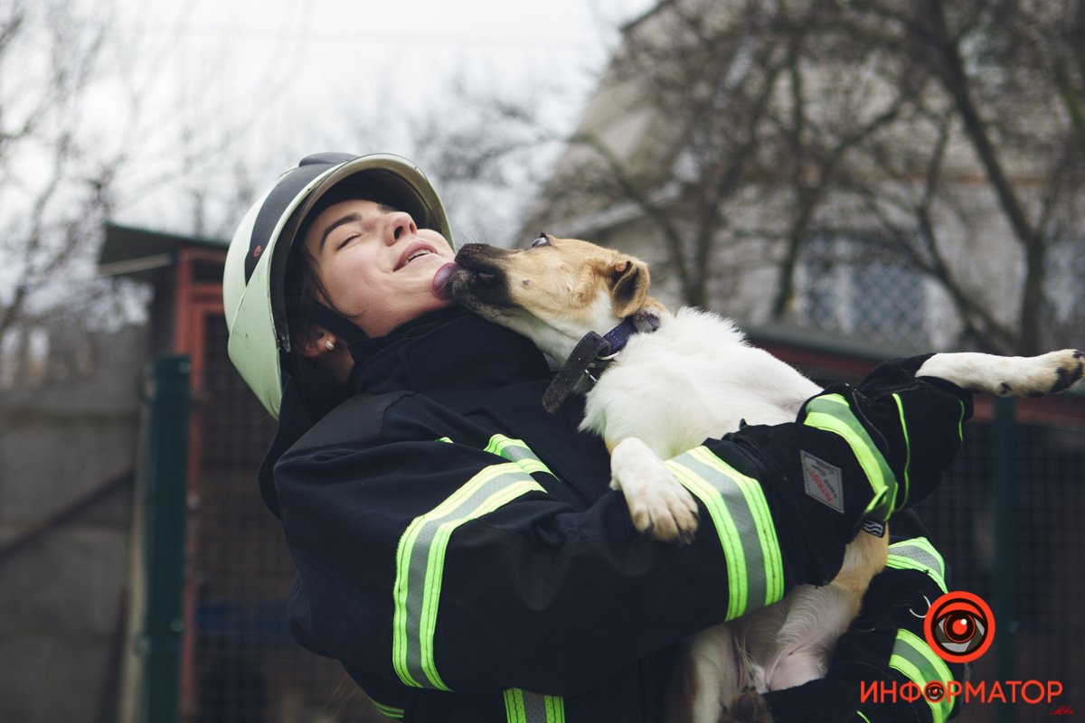 Военные, полицейские и спасатели снялись в фотосессии с бездомными животными в Днепре: классные фото 11