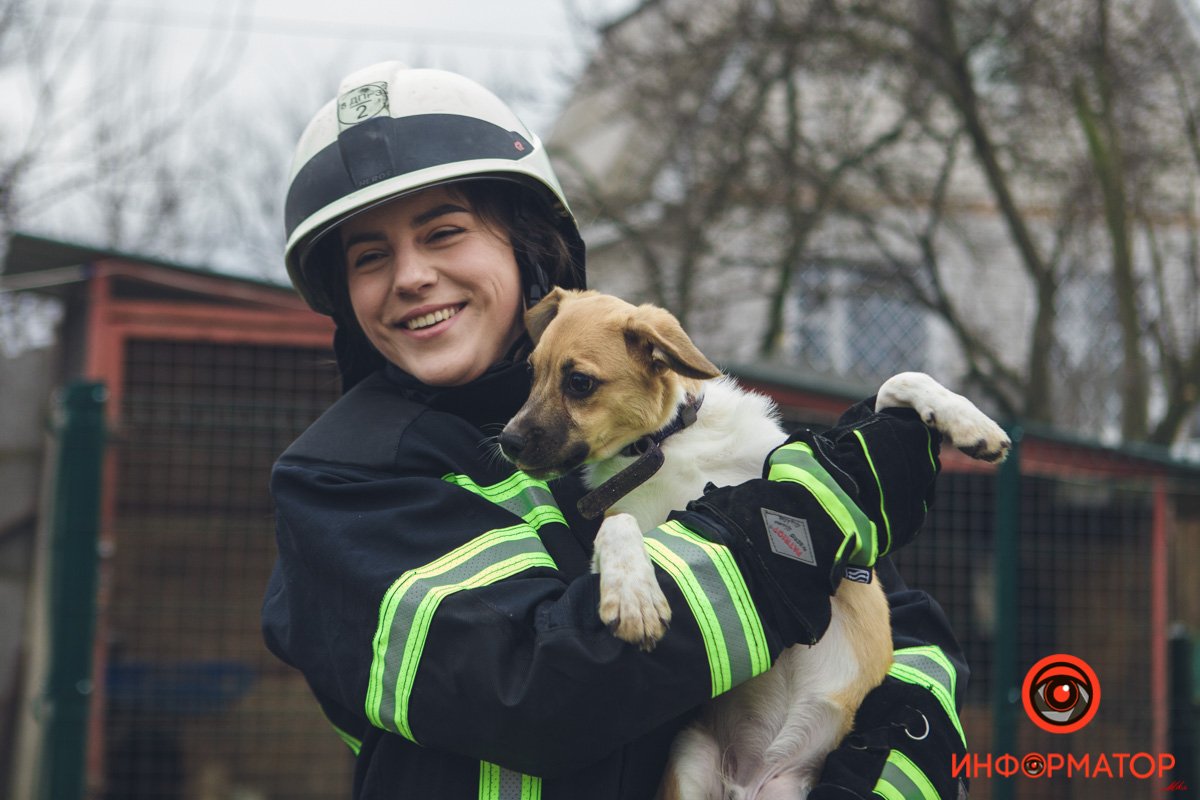 Военные, полицейские и спасатели снялись в фотосессии с бездомными животными в Днепре: классные фото 12