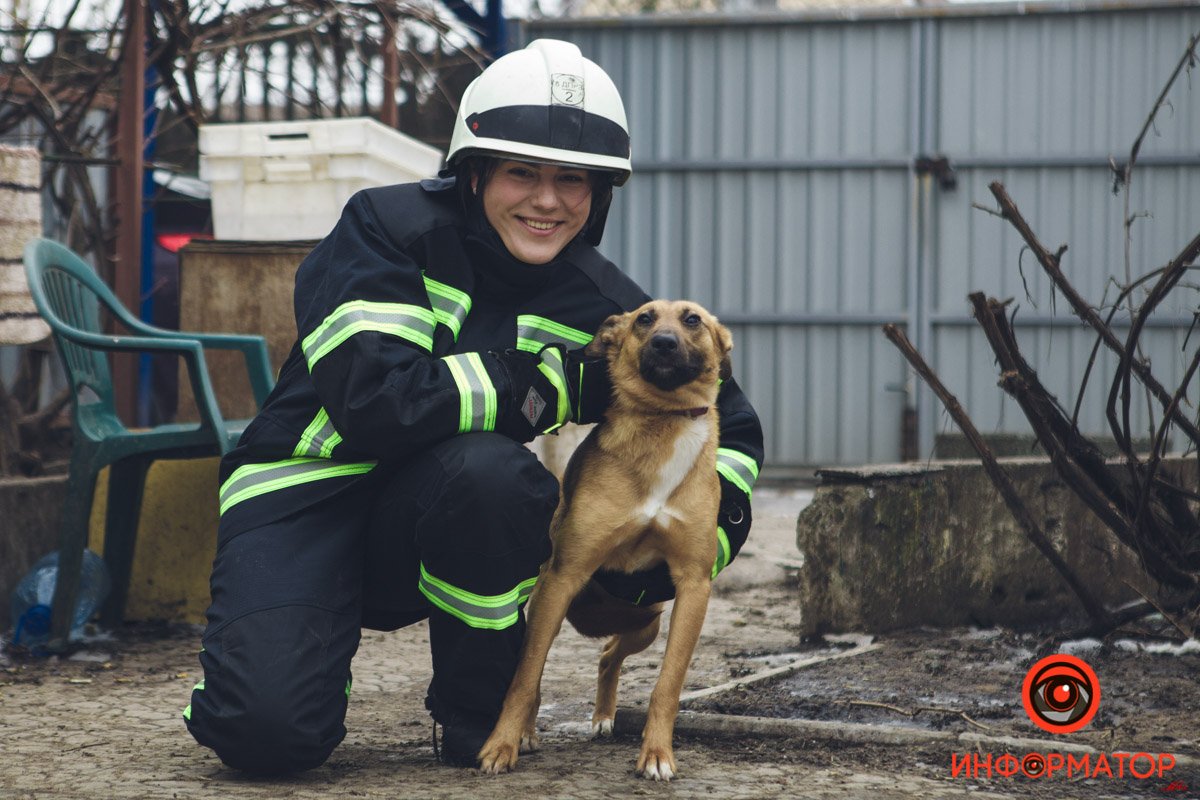 Военные, полицейские и спасатели снялись в фотосессии с бездомными животными в Днепре: классные фото 13