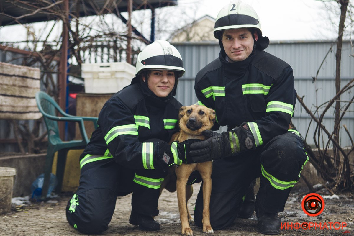 Военные, полицейские и спасатели снялись в фотосессии с бездомными животными в Днепре: классные фото 15