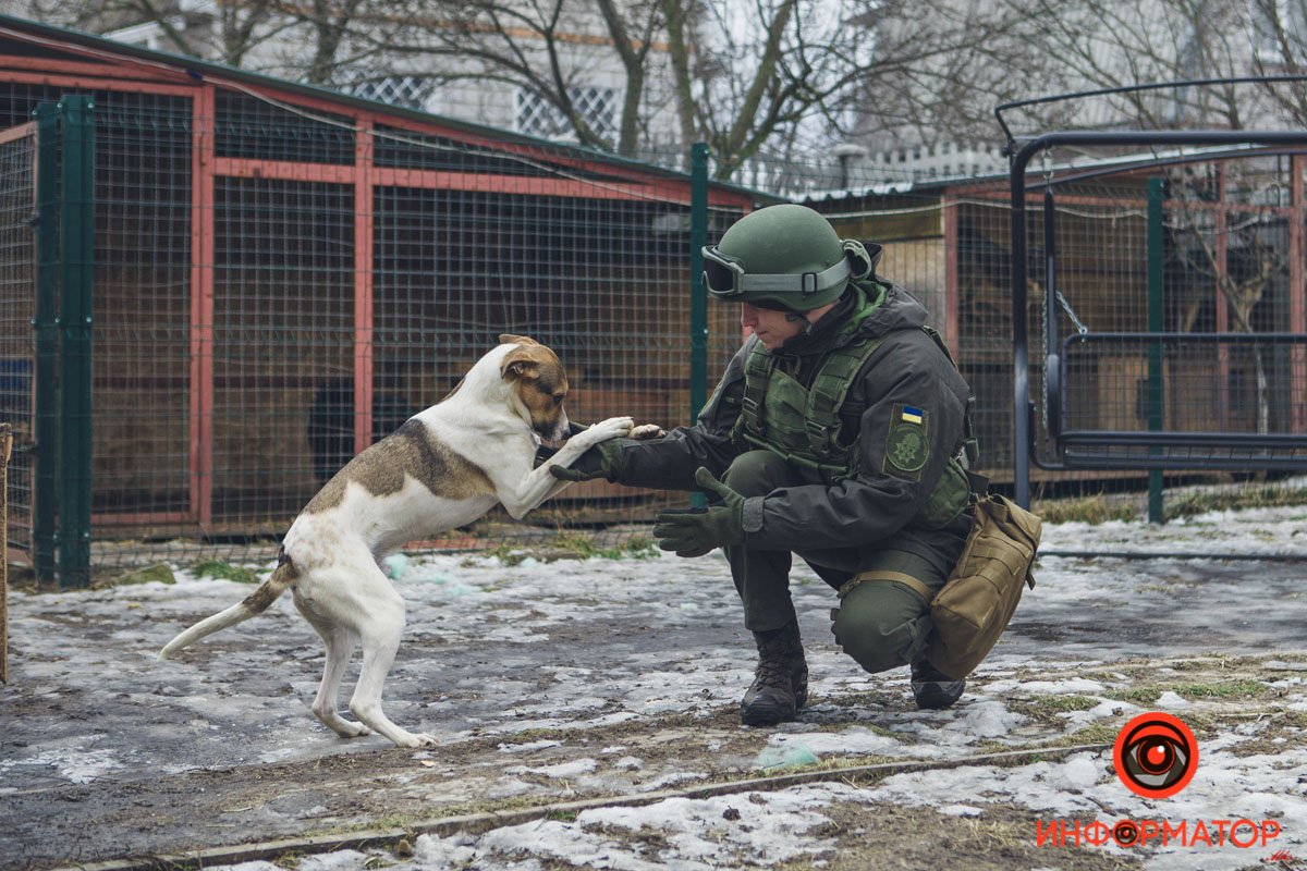 Военные, полицейские и спасатели снялись в фотосессии с бездомными животными в Днепре: классные фото 18