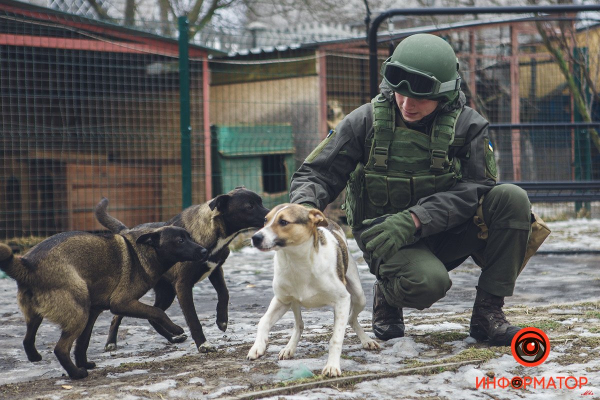Военные, полицейские и спасатели снялись в фотосессии с бездомными животными в Днепре: классные фото 19