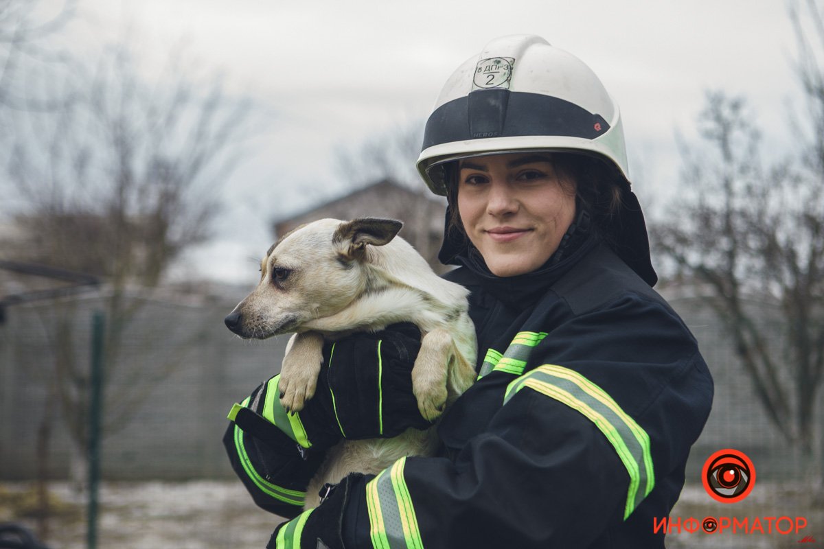 Военные, полицейские и спасатели снялись в фотосессии с бездомными животными в Днепре: классные фото 20