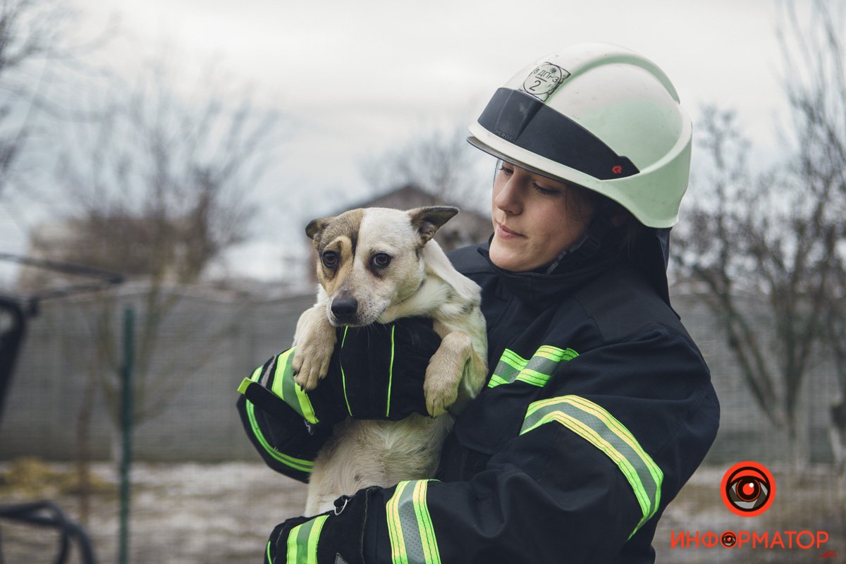 Военные, полицейские и спасатели снялись в фотосессии с бездомными животными в Днепре: классные фото 21