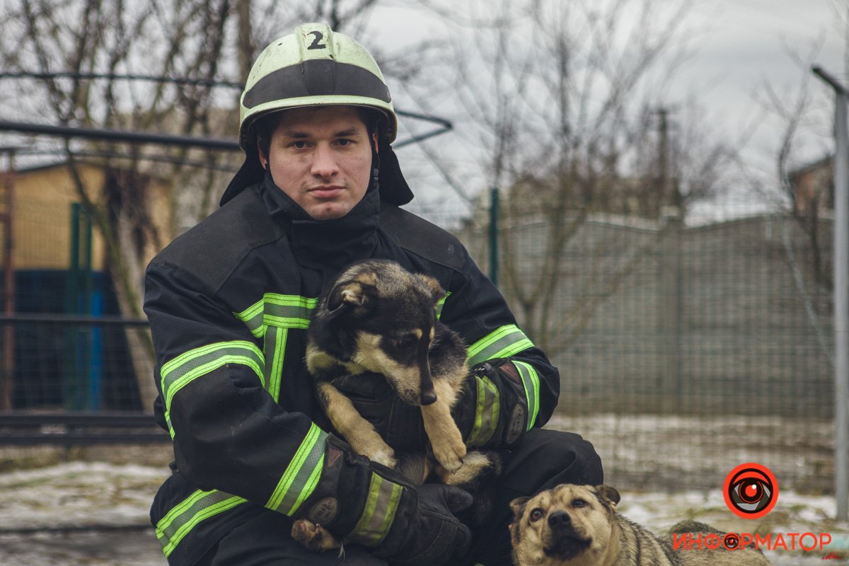 Военные, полицейские и спасатели снялись в фотосессии с бездомными животными в Днепре: классные фото 23