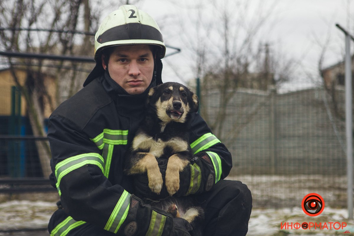 Военные, полицейские и спасатели снялись в фотосессии с бездомными животными в Днепре: классные фото 24