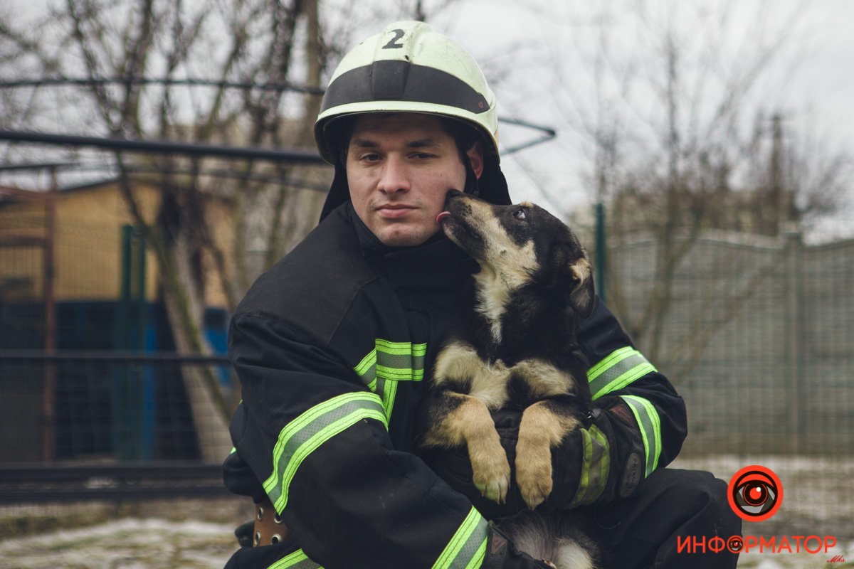 Военные, полицейские и спасатели снялись в фотосессии с бездомными животными в Днепре: классные фото 25