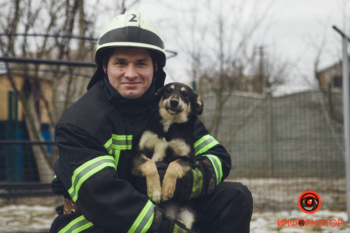 Военные, полицейские и спасатели снялись в фотосессии с бездомными животными в Днепре: классные фото 26