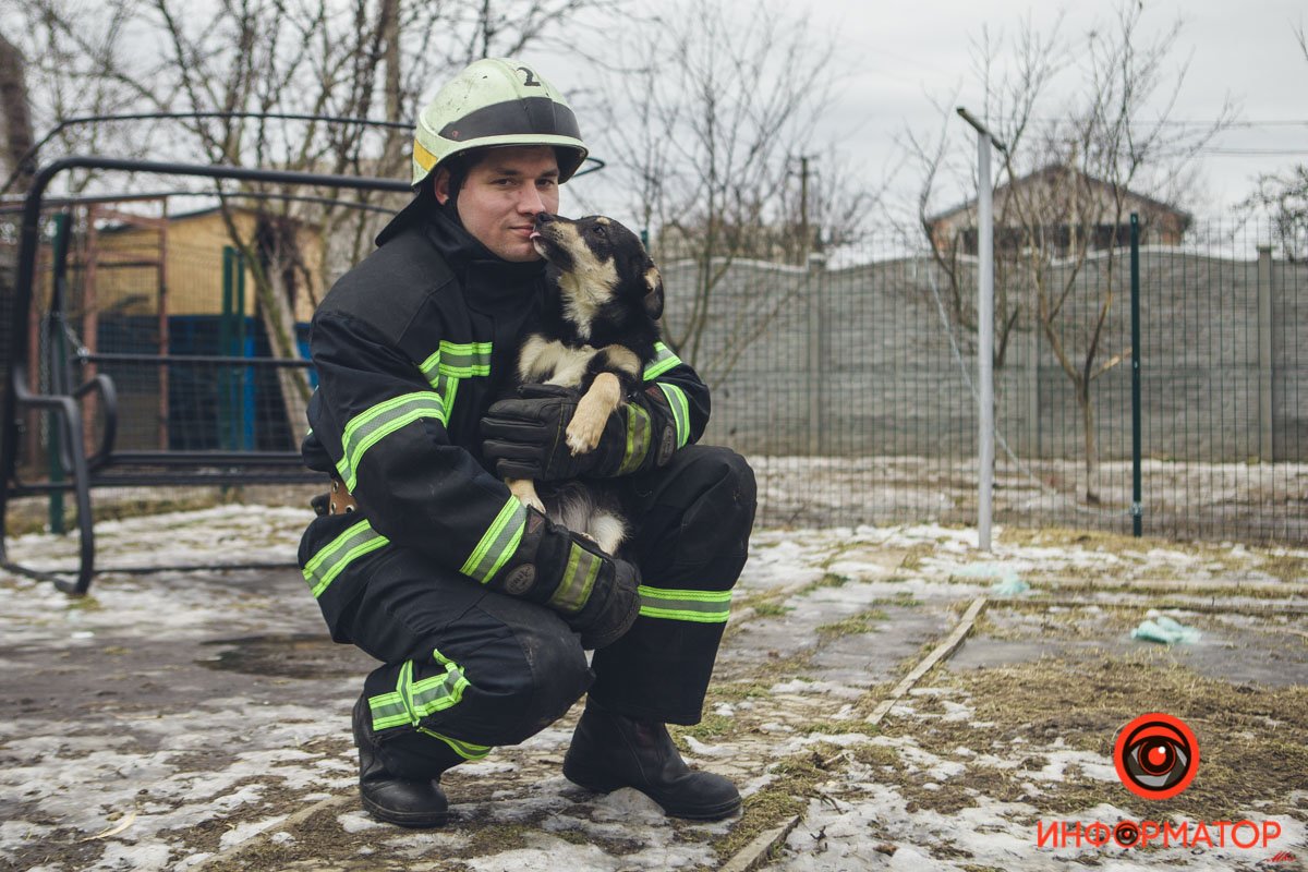 Военные, полицейские и спасатели снялись в фотосессии с бездомными животными в Днепре: классные фото 28