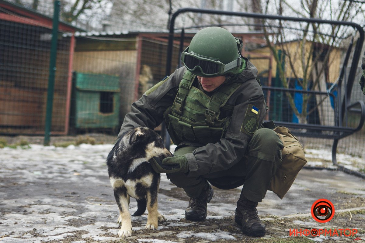 Военные, полицейские и спасатели снялись в фотосессии с бездомными животными в Днепре: классные фото 32