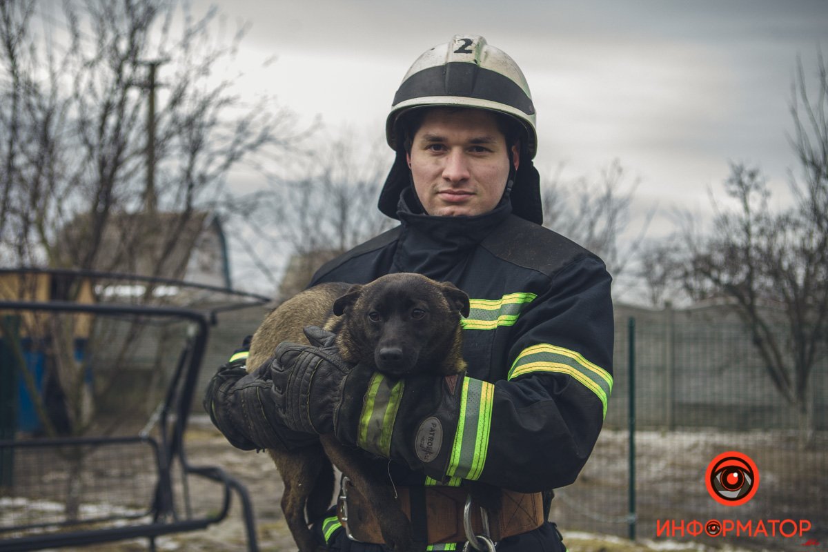 Военные, полицейские и спасатели снялись в фотосессии с бездомными животными в Днепре: классные фото 33