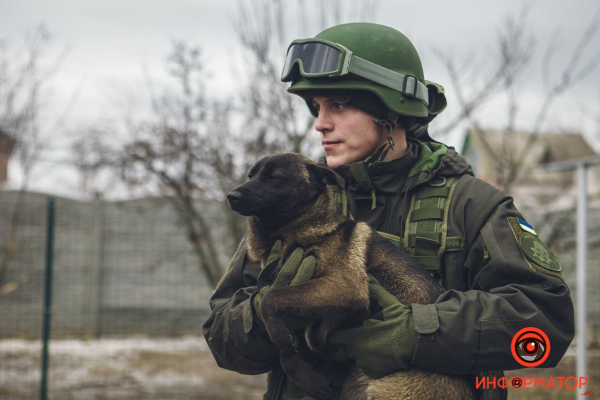 Военные, полицейские и спасатели снялись в фотосессии с бездомными животными в Днепре: классные фото 35