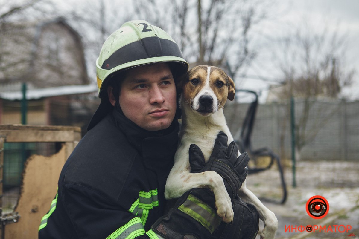 Военные, полицейские и спасатели снялись в фотосессии с бездомными животными в Днепре: классные фото 36
