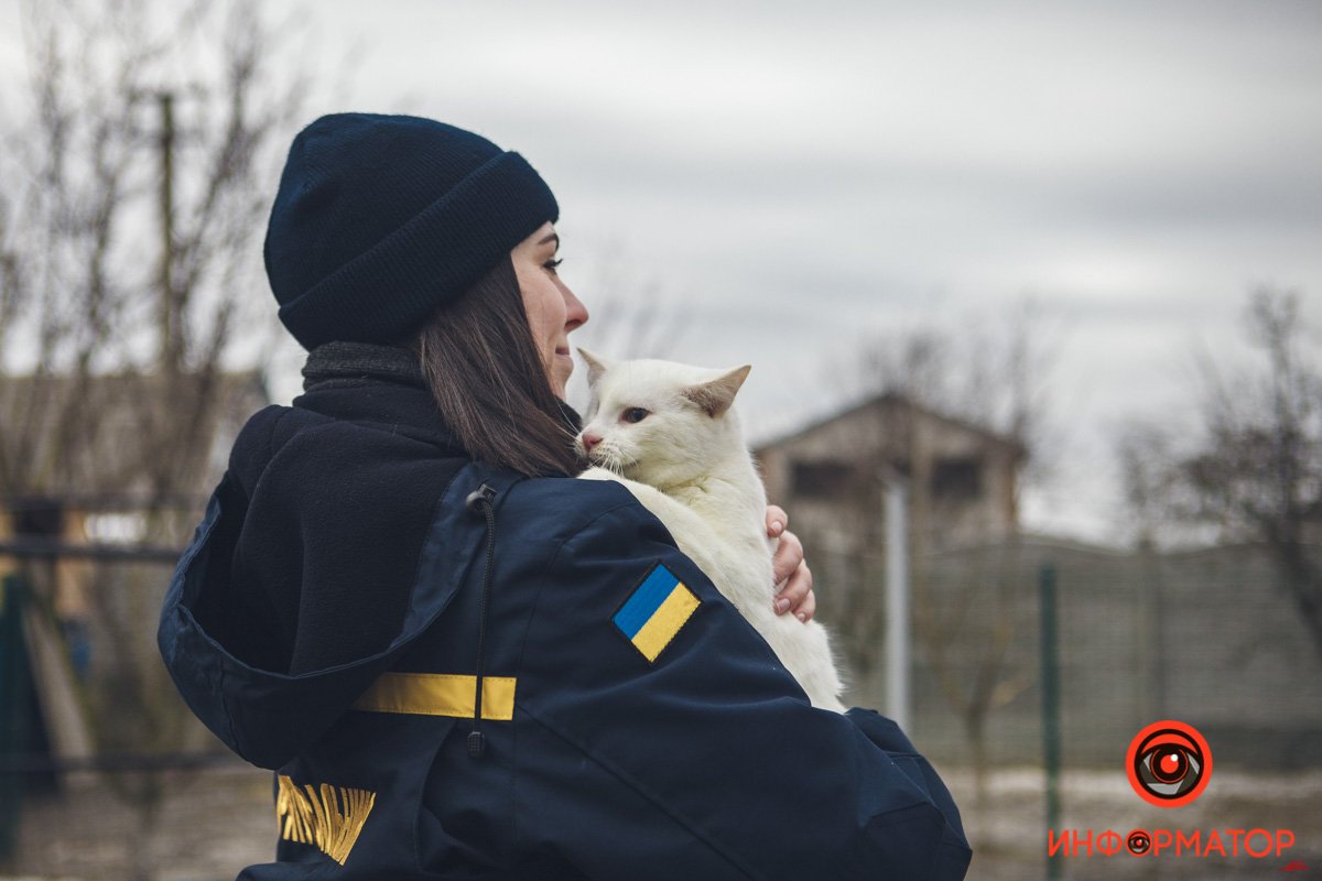 Военные, полицейские и спасатели снялись в фотосессии с бездомными животными в Днепре: классные фото 39