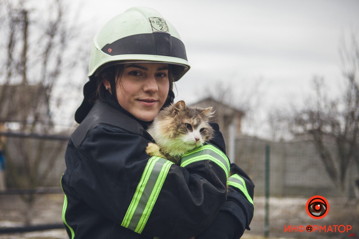 Военные, полицейские и спасатели снялись в фотосессии с бездомными животными в Днепре: классные фото 41