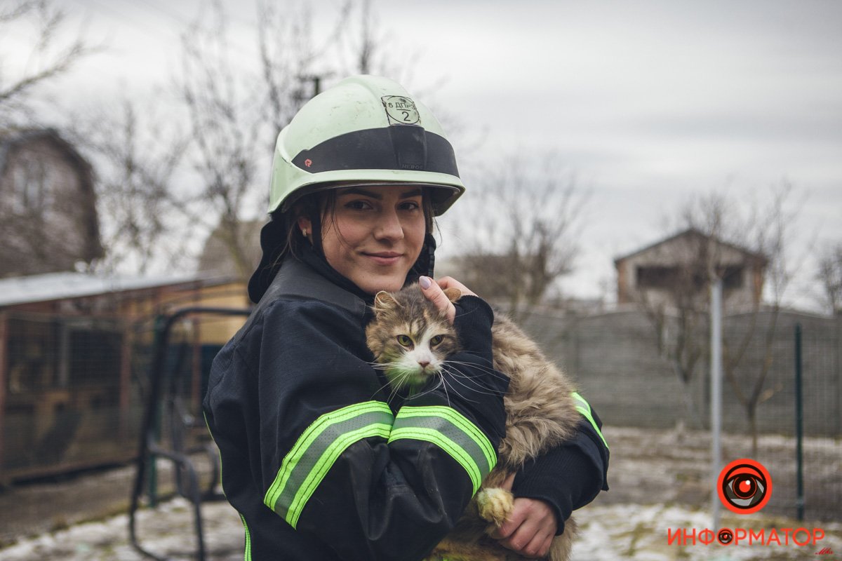 Военные, полицейские и спасатели снялись в фотосессии с бездомными животными в Днепре: классные фото 42